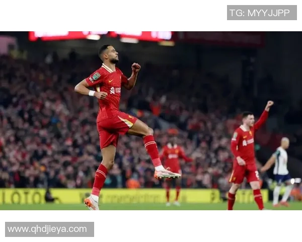 利物浦伤情更新:复出时间仍未确定 利物浦伤情更新:复出时间仍未确定