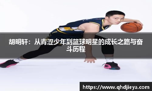 hth华体会