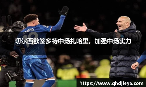 切尔西欲签多特中场扎哈里，加强中场实力
